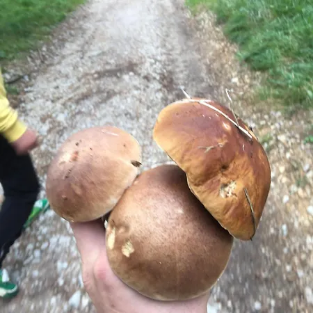 Agnieszka Apartmán Smižany