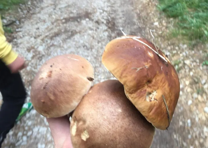 Agnieszka Διαμέρισμα Smižany